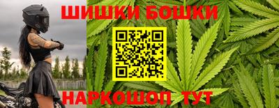 Альфа ПВП Новозыбков
