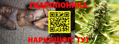 Альфа ПВП Новозыбков