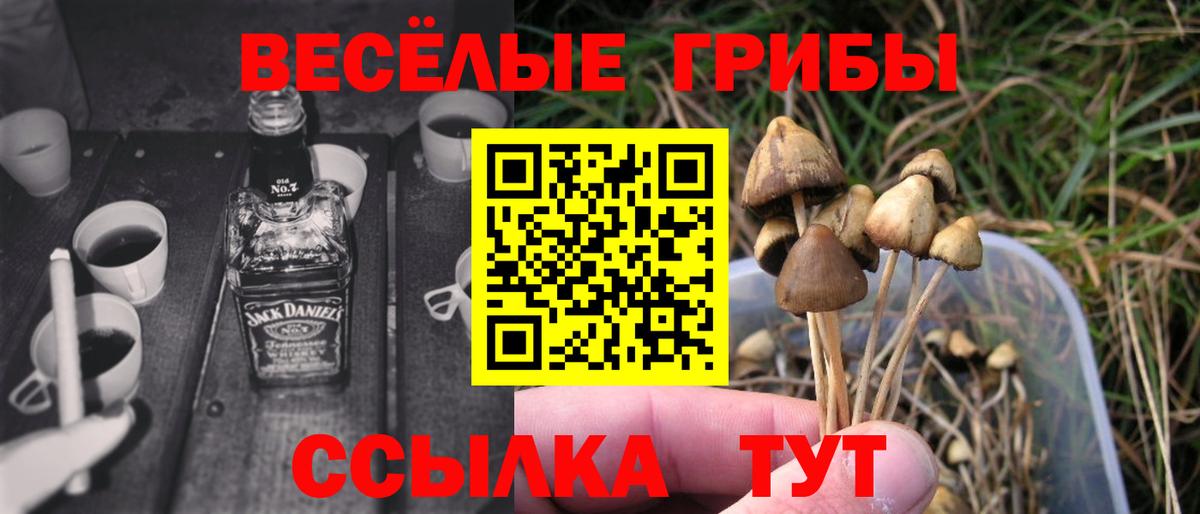 Псилоцибиновые грибы мухоморы Фрязино